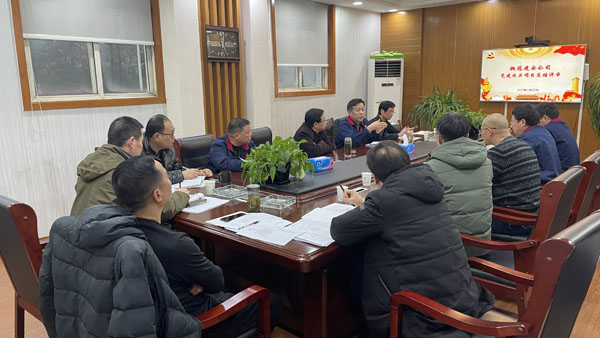 公司召開2021年度黨建項目總結評審會