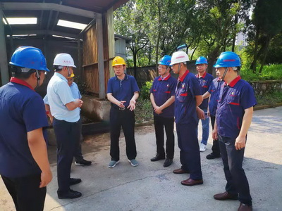 集團公司副總經理到公司督察環保管理工作 集團公司副總經理到公司督察環保管理工作